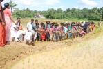 നെല്‍ക്കൃഷിയില്‍ വിജയഗാഥയുമായി ഭീമനാടിന്റെ കുട്ടികള്‍